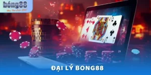 Đại Lý Bong88 - Chương Trình Siêu Hấp Dẫn Dành Nhân Viên