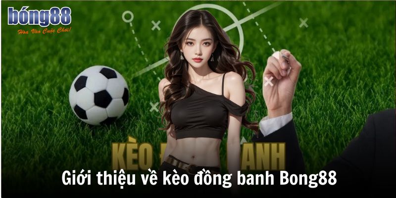 Giới thiệu về kèo đồng banh Bong88