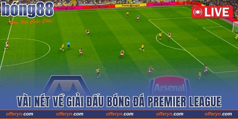 Vài nét cơ bản về giải đấu bóng đá Premier League